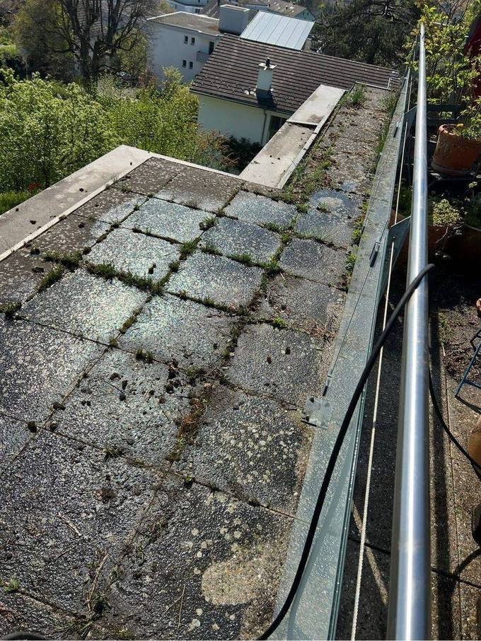 Terrassenplatten stark veralgt und vermoost, vor der Reinigung